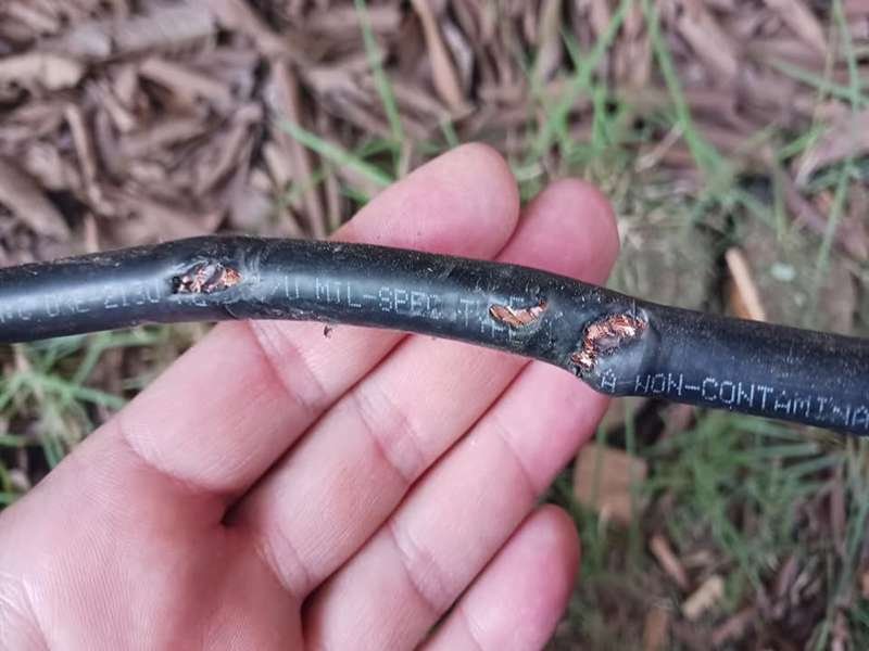 damaged coaxial cable with bent pin corrosion